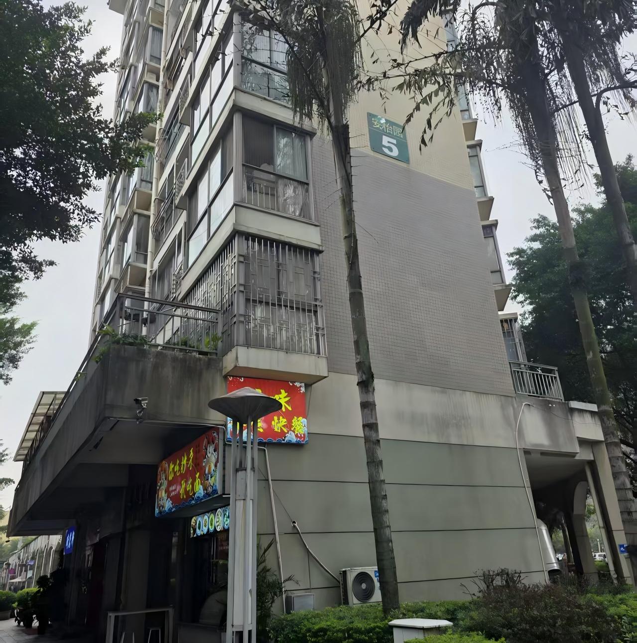 桂林市 安厦世纪城•安怡园国债电梯更新 1台